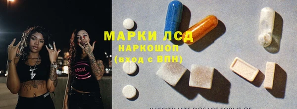 индика Аркадак