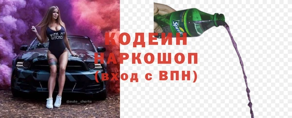индика Аркадак