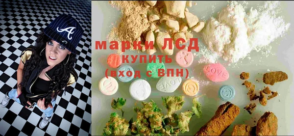индика Аркадак