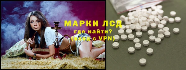 индика Аркадак
