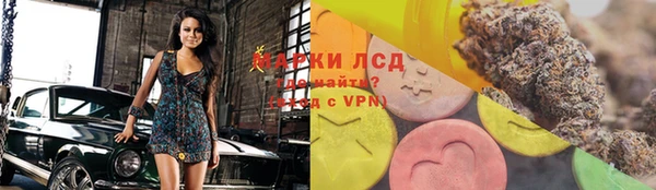 индика Аркадак